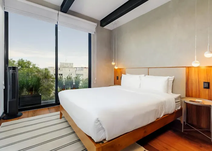 Zacatecas 4 By Wynwood House Mexico City